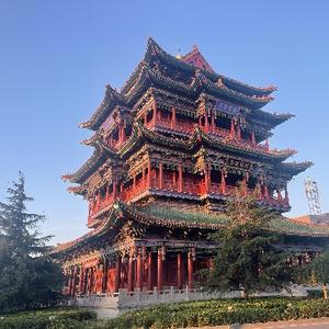沙漠繁星头像