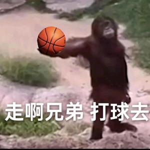 来来来来头像