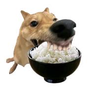 泪水打湿麦当劳的个人资料头像