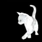 用户8850979979900的个人资料头像