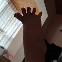 青梅棉花酸糖头像