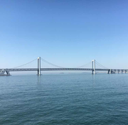 peerlessly的个人资料头像