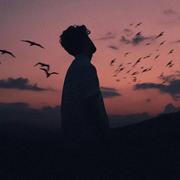 用户2361332317965的个人资料头像