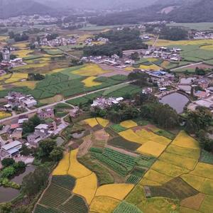 宣传家乡的小仙女头像