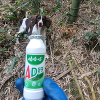 杭州训犬师小张头像