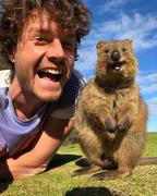 VColorJS的个人资料头像