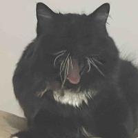 小高要早睡Tt头像