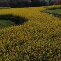 一切随风顺其自然头像