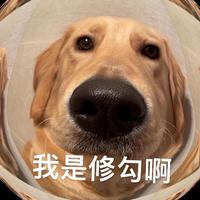 用户9512080478654头像