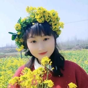 乡村宫庭头像