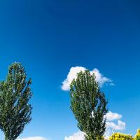 奇妙天空My头像