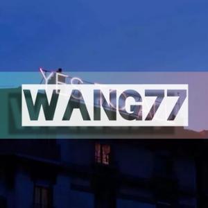 WANG77球鞋魔改头像