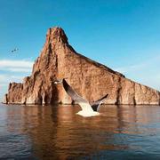 Alvin275的个人资料头像