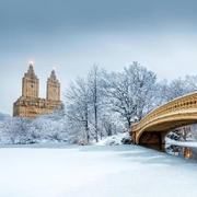 yangbo568969859的个人资料头像