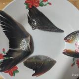 潘生5266头像