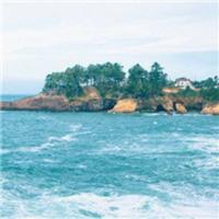 用户4453880740451头像