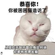 2binfront的个人资料头像