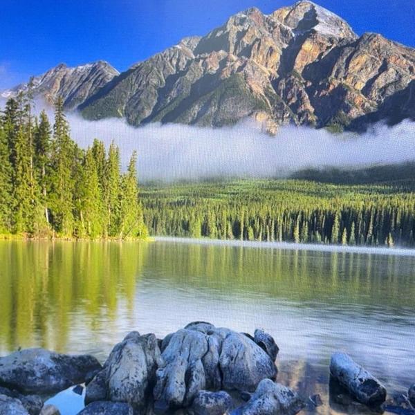 博佑天官赐福头像