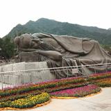 1233215270头像
