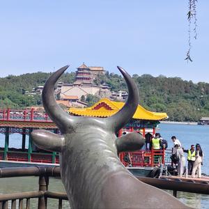 一路有景头像