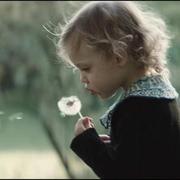 zeroguar的个人资料头像