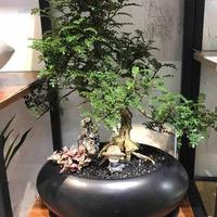 阿淞88头像