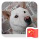 听语丶617头像