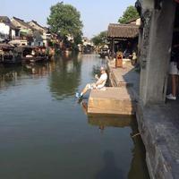 是你 那么骄傲头像