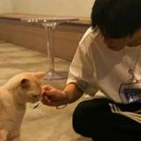 榴莲烧饼lin头像