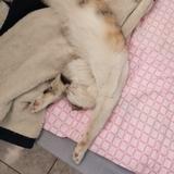 用户624399383326头像