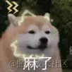 在线搬砖的个人资料头像