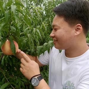 农资李同学头像