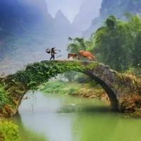 安逸小红花00g头像