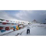 努力且好运的Yido头像