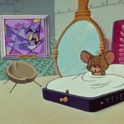 Sayhello的个人资料头像