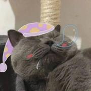 DrLink的个人资料头像