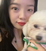小猫信宏头像