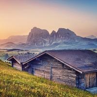 风尚生活集头像