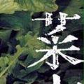 ACHUA菜菜头像