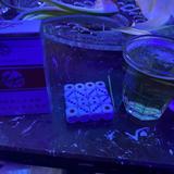 11119528头像