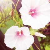 泉水叮咚721头像