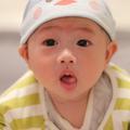 诗意原野头像