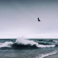 卡瓦格博532头像