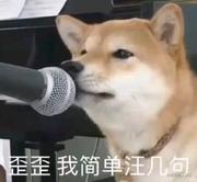 猴子大王_001的个人资料头像