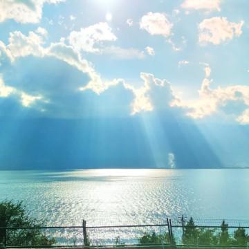 大桔小橘的旅行头像