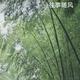 劲客888999 · 宇通T7E车主·车龄3年头像