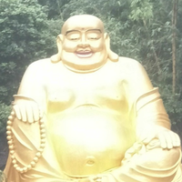 包容3345头像