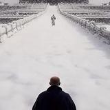 年少有为太轻狂头像