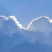 Alchemy的个人资料头像