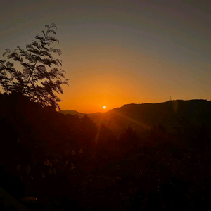 番茄1398181191487048头像